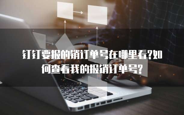 钉钉要报的销订单号在哪里看?如何查看我的报销订单号?