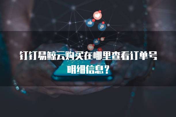 钉钉易鲸云购买在哪里查看订单号明细信息?