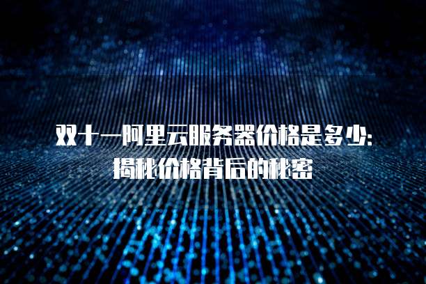双十一阿里云服务器价格是多少:揭秘价格背后的秘密