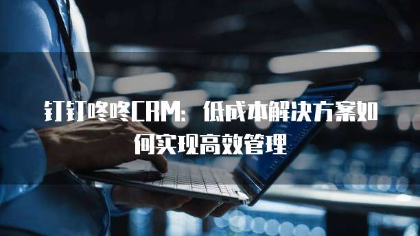 钉钉咚咚CRM:低成本解决方案如何实现高效管理