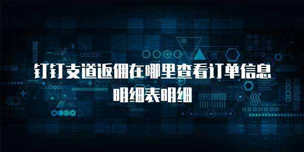钉钉支道返佣在哪里查看订单信息明细表明细