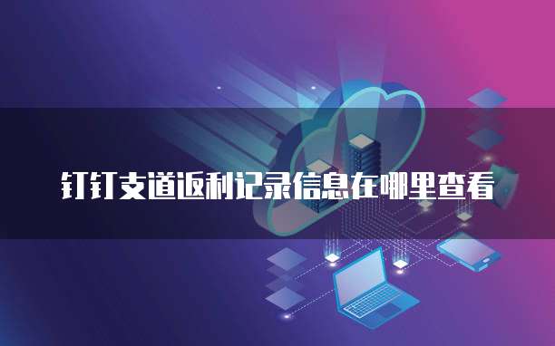 钉钉支道返利记录信息在哪里查看