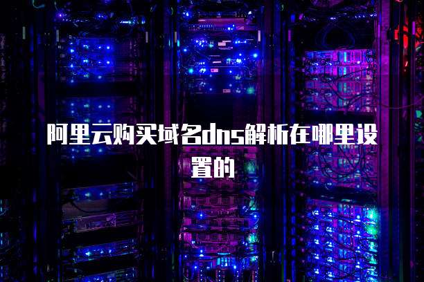 阿里云购买域名dns解析在哪里设置的