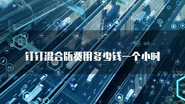 钉钉混合版费用多少钱一个小时