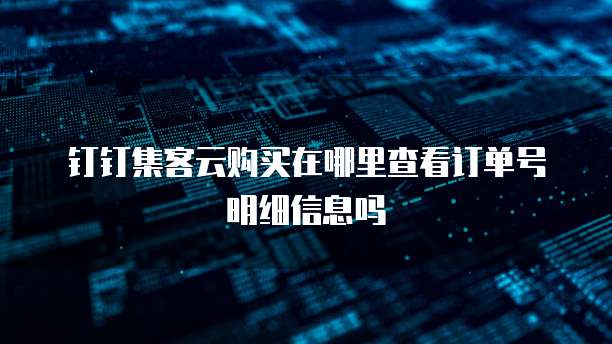 钉钉集客云购买在哪里查看订单号明细信息吗