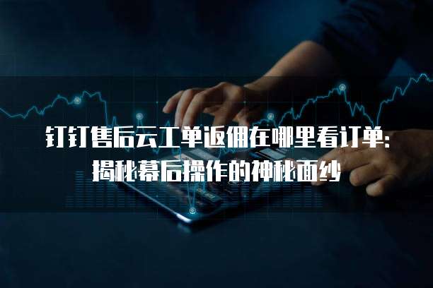钉钉售后云工单返佣在哪里看订单:揭秘幕后操作的神秘面纱