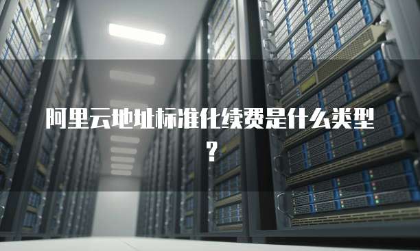 阿里云地址标准化续费是什么类型?