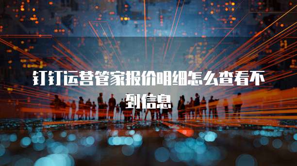 钉钉运营管家报价明细怎么查看不到信息
