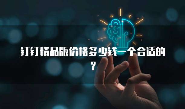 钉钉精品版价格多少钱一个合适的？