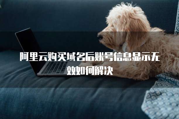 阿里云购买域名后账号信息显示无效如何解决