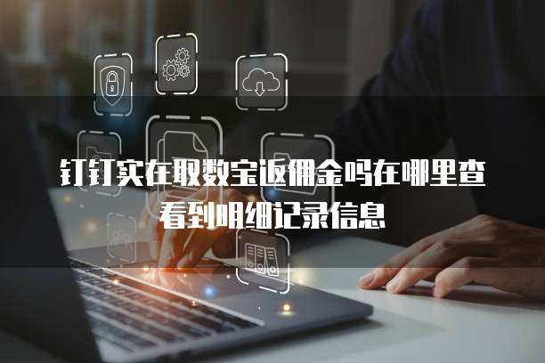 钉钉实在取数宝返佣金吗在哪里查看到明细记录信息
