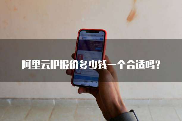 阿里云IP报价多少钱一个合适吗?