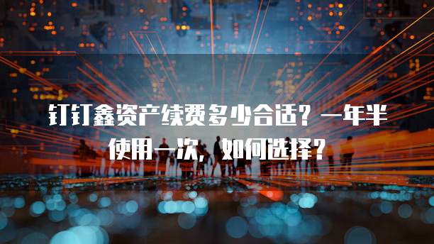 钉钉鑫资产续费多少合适?一年半使用一次,如何选择?