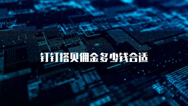 钉钉搭贝佣金多少钱合适