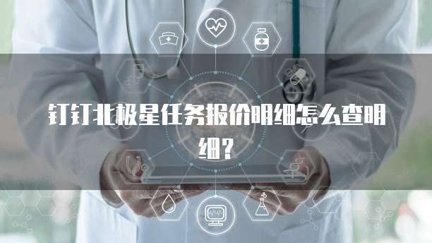 钉钉北极星任务报价明细怎么查明细？