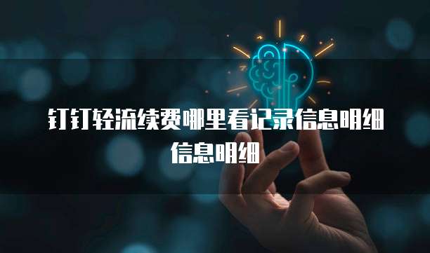 钉钉轻流续费哪里看记录信息明细信息明细