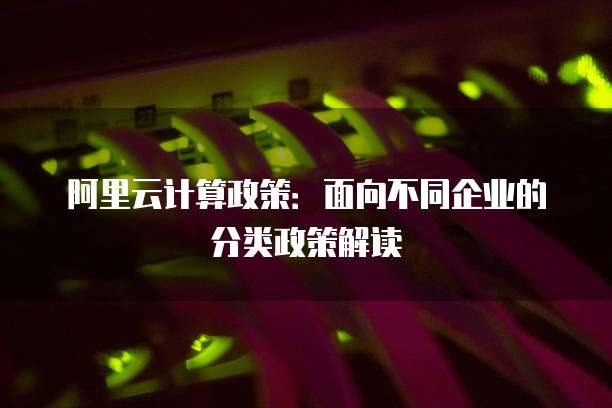 阿里云计算政策:面向不同企业的分类政策解读