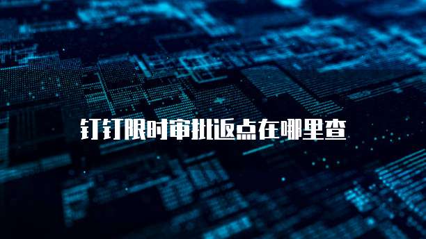 钉钉限时审批返点在哪里查