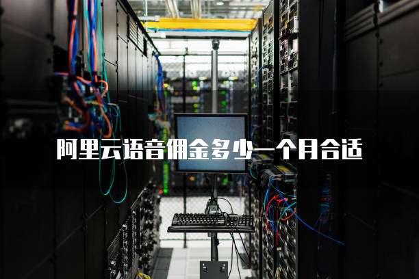 阿里云语音佣金多少一个月合适