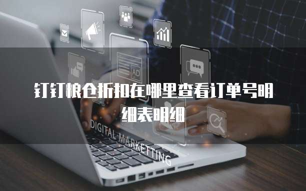 钉钉粮仓折扣在哪里查看订单号明细表明细