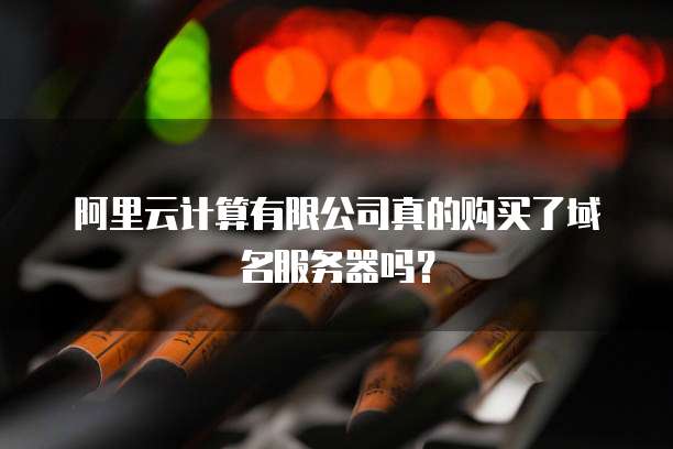 阿里云计算有限公司真的购买了域名服务器吗?