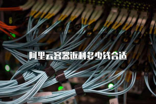 阿里云容器返利多少钱合适