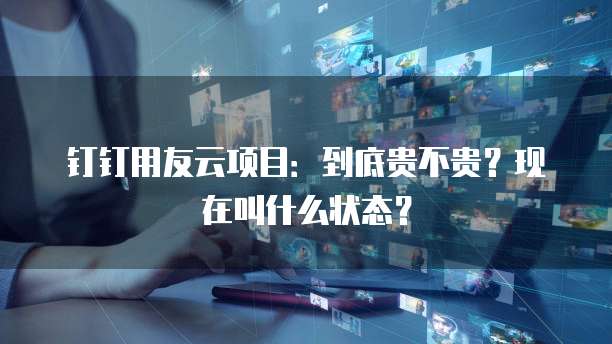 钉钉用友云项目:到底贵不贵?现在叫什么状态?