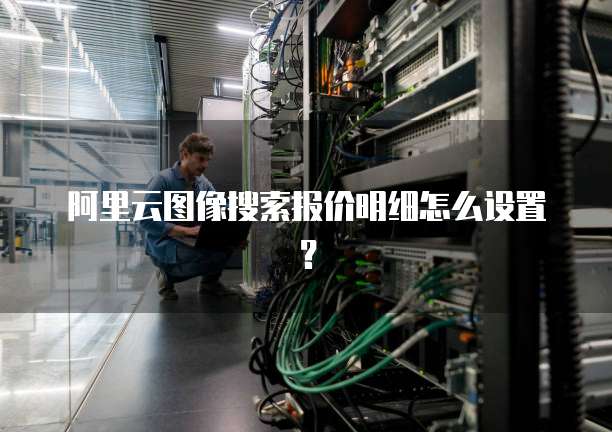 阿里云图像搜索报价明细怎么设置?