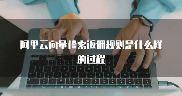 阿里云向量检索返佣规则是什么样的过程