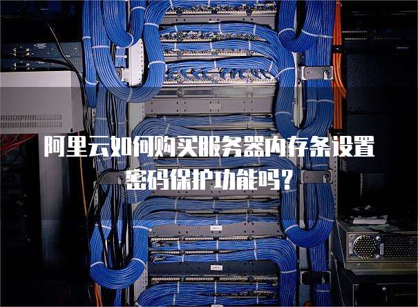 阿里云如何购买服务器内存条设置密码保护功能吗?
