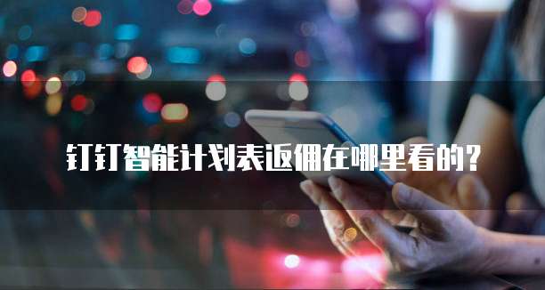 钉钉智能计划表返佣在哪里看的?