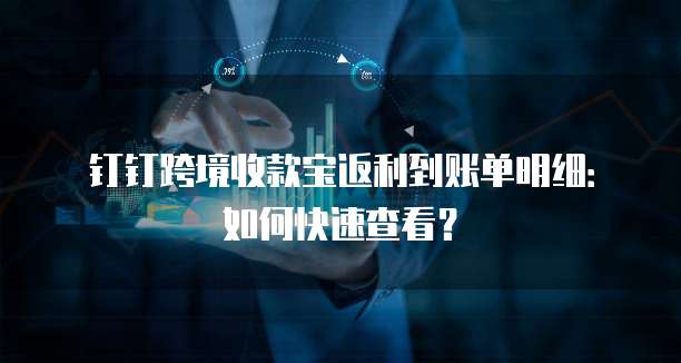 钉钉跨境收款宝返利到账单明细:如何快速查看?