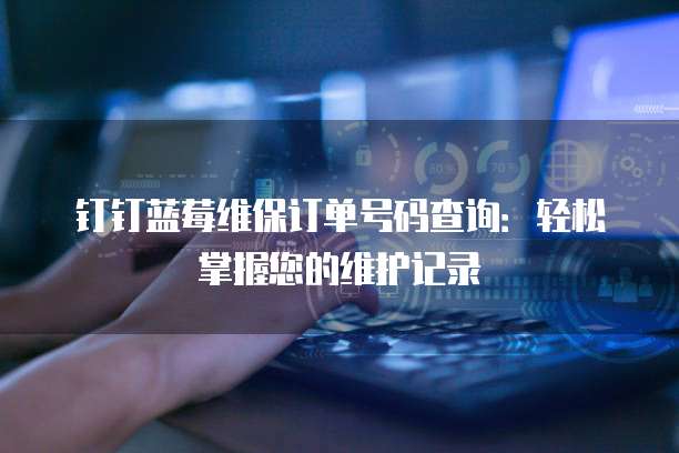 钉钉蓝莓维保订单号码查询:轻松掌握您的维护记录