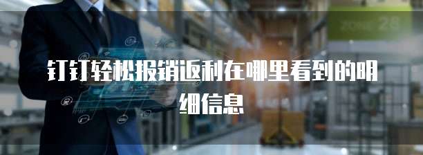 钉钉轻松报销返利在哪里看到的明细信息
