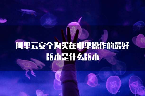 阿里云安全购买在哪里操作的最好版本是什么版本