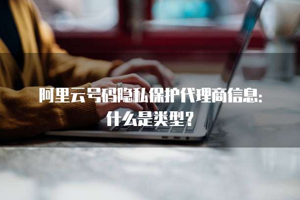 阿里云号码隐私保护代理商信息：什么是类型？