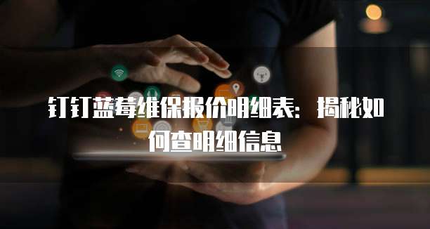 钉钉蓝莓维保报价明细表:揭秘如何查明细信息