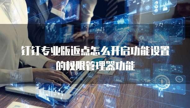 钉钉专业版返点怎么开启功能设置的权限管理器功能