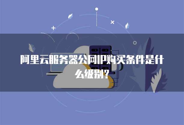 阿里云服务器公网IP购买条件是什么级别?