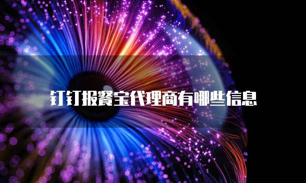 钉钉报餐宝代理商有哪些信息