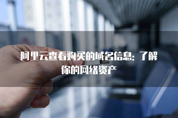 阿里云查看购买的域名信息: 了解你的网络资产