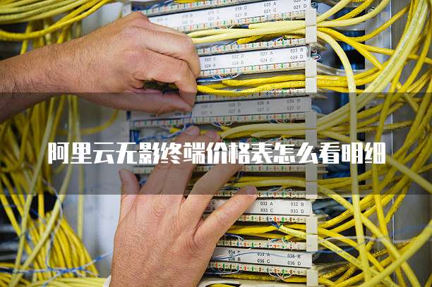 阿里云无影终端价格表怎么看明细