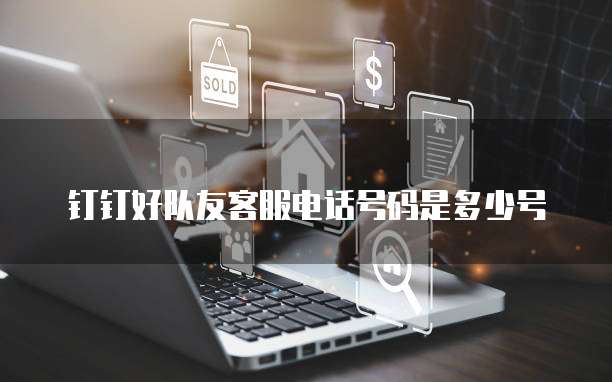 钉钉好队友客服电话号码是多少号
