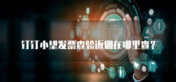 钉钉小望发票查验返佣在哪里查?