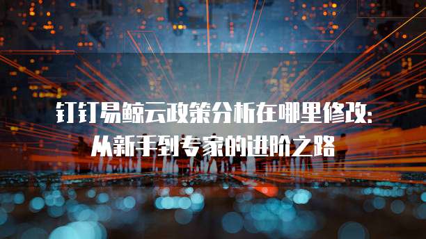 钉钉易鲸云政策分析在哪里修改:从新手到专家的进阶之路