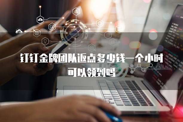 钉钉金牌团队返点多少钱一个小时可以领到吗