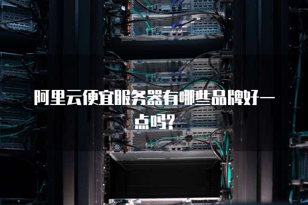阿里云便宜服务器有哪些品牌好一点吗?