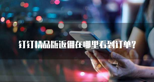 钉钉精品版返佣在哪里看到订单?