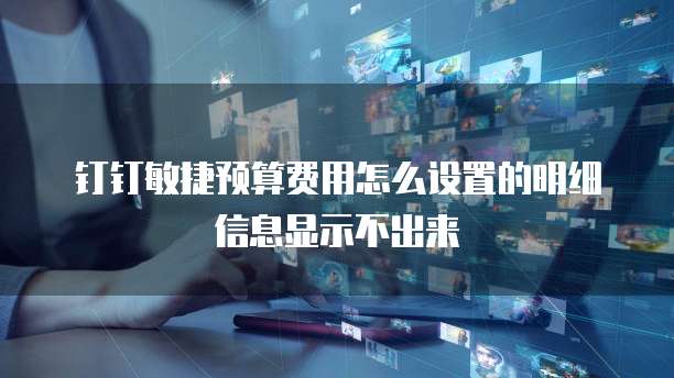 钉钉敏捷预算费用怎么设置的明细信息显示不出来