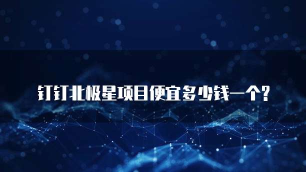 钉钉北极星项目便宜多少钱一个?